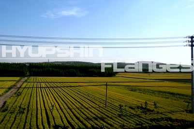 Shandong Hyupshin Flanges Co., Ltd Surrounding scenery