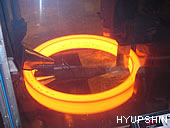 Shandong Hyupshin Flanges Co., Ltd, Forged Flanges, Steel Flanges, Manufacturer, Exporter from Shandong of China, flanges foring and rolling