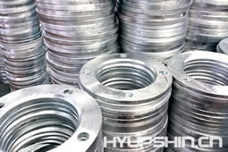 Backing Ring Flanges Hot Galvanize Shandong Hyupshin Flanges Co., Ltd