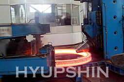 Shandong Hyupshin Flanges Co., Ltd Forging and Rolling Flanges
